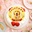 ポップアップわんこ・にゃんこ写真ケーキ | ケーキ | サプライズケーキ専門店 菓の香
