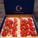 【冷蔵】苺ギフト 栃木県真岡市産とちおとめ｜いちご｜つきのいちごえん - スイーツモール