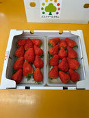 【冷蔵】季節のイチゴ詰め合わせ|いちご|周年観光農園 エコファーム うちこ