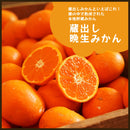 【常温】みかん・カンキツ | みかん | 蔵出しみかんの藤原農園