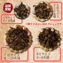 【店頭受取】チョコデコレーション | チョコレートケーキ | ラ メゾンジュ ホールケーキ