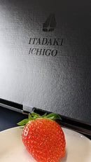 【冷蔵】厳選2品種食べ比べセット｜いちご｜ITADAKI FARM OGORI - スイーツモール