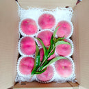 【冷蔵】桃(家庭用) | 桃 | 燃実農園-もえみのうえん-