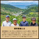 【定期購入】藤原農園のみかん定期便5Kg | みかん | 蔵出しみかんの藤原農園