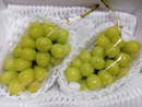 【常温】シャインマスカット | ぶどう | アルコアーナ農園