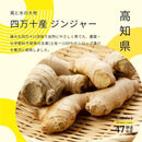 【常温】47都道府県ばぁむ｜バウムクーヘン｜淡路島ばぁむ工房 maaru factory - スイーツモール