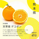 【常温】47都道府県ばぁむ｜バウムクーヘン｜淡路島ばぁむ工房 maaru factory - スイーツモール