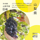 【常温】47都道府県ばぁむ｜バウムクーヘン｜淡路島ばぁむ工房 maaru factory - スイーツモール