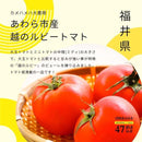 【常温】47都道府県ばぁむ｜バウムクーヘン｜淡路島ばぁむ工房 maaru factory - スイーツモール
