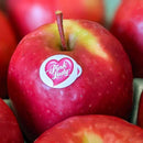 【常温】希少品種ピンクレディー®とリンゴジュース詰め合わせ｜ジュース｜マルカメ果樹園 - スイーツモール