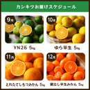 【定期購入】藤原農園のみかん定期便5Kg | みかん | 蔵出しみかんの藤原農園