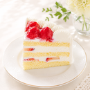【冷凍】生デコレーションケーキ | ケーキ | 菓子司 東陽軒