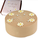 【冷凍】センイルケーキ 4号 13.5cm｜ケーキ｜魔法洋菓子店ソルシエ