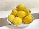 【店頭受取】国産レモン 訳アリ品 | レモン | 株式会社オレンジヒルズ 松本農園