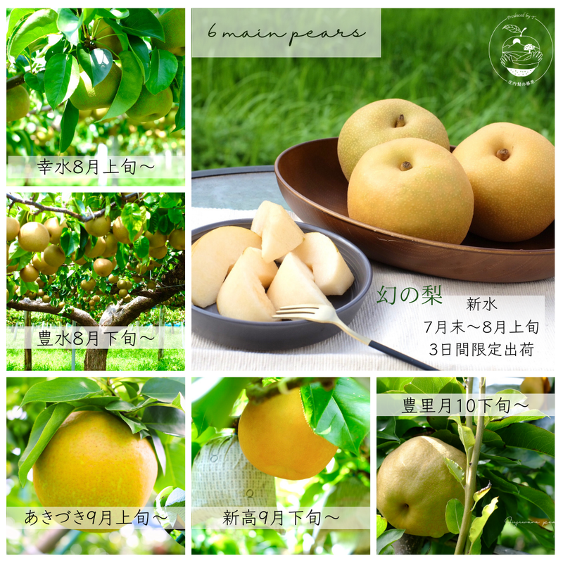 Product Image-2