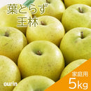 【常温】葉とらずりんご | りんご | グランド アップル