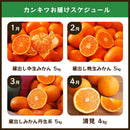 【定期購入】藤原農園のみかん定期便5Kg | みかん | 蔵出しみかんの藤原農園