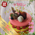 【店頭受取】マカロンフレジェピスターシュ | マカロン | ル・シェーヴルフイユ ホールケーキ