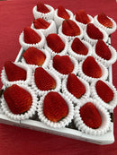 【冷蔵】紅ほっぺ | いちご | 河南いちご農場