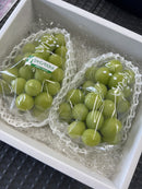 【常温】シャインマスカット・種あり巨峰 | フルーツ | Ripifarm（リピファーム）