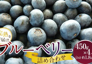 【冷蔵】手摘みブルーベリー詰め合わせ|ブルーベリー|周年観光農園 エコファーム うちこ
