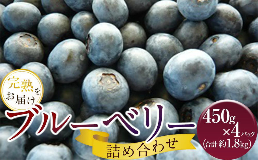 【冷蔵】手摘みブルーベリー詰め合わせ|ブルーベリー|周年観光農園 エコファーム うちこ