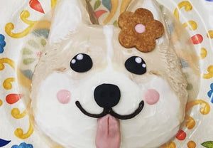 【冷凍】ペット用 わんちゃんお誕生日お顔ケーキ｜犬ケーキ・わんちゃんケーキ・ワンちゃんケーキ・犬の顔のケーキ ・ペット 誕生日｜イタリアントラットリア ラノッキオ｜誕生 日 顔面 ケーキ｜犬 用 誕生 日 ケーキ・犬誕生日ケーキ｜犬用のケーキ・犬 用 ケーキ オーダー・犬ケーキ 誕生日・犬 の 顔 ケーキ・犬 ケーキ 誕生 日・犬 バースデーケーキ・犬用ケーキ