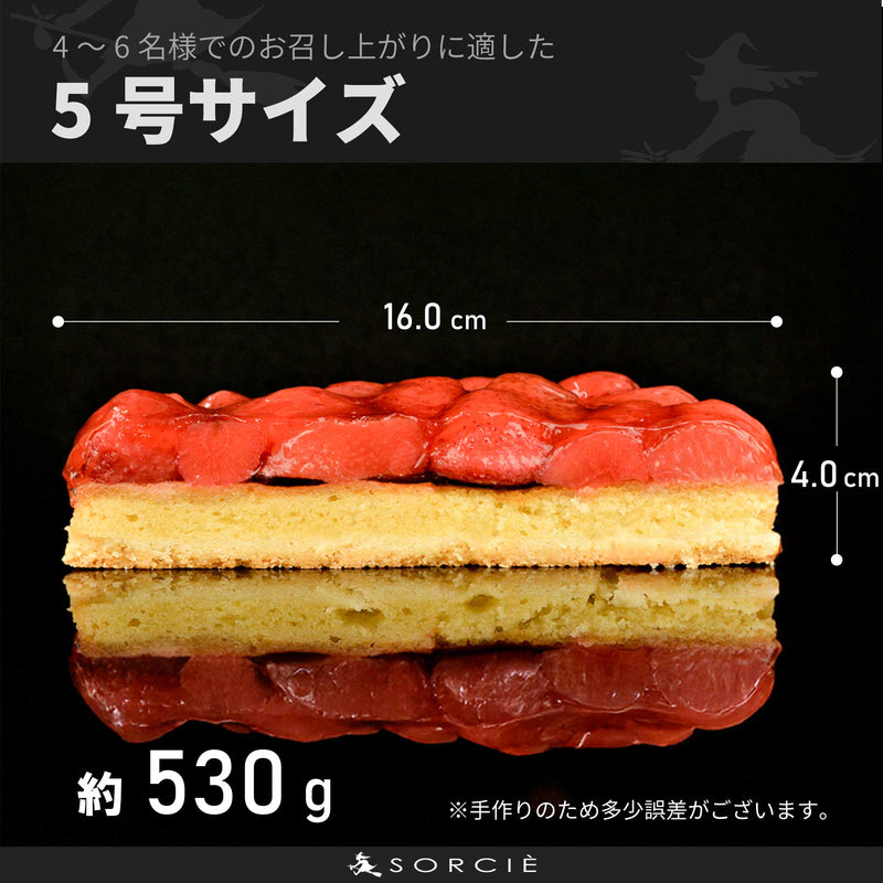 Product Image-2