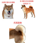 Product Image-5