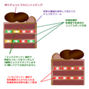 【店頭受取】スペシャルチョコデコレーション | チョコレートケーキ | ル・シェーヴルフイユ ホールケーキ