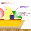 【店頭受取】フルーツタルト | タルト | ル・シェーヴルフイユ ホールケーキ