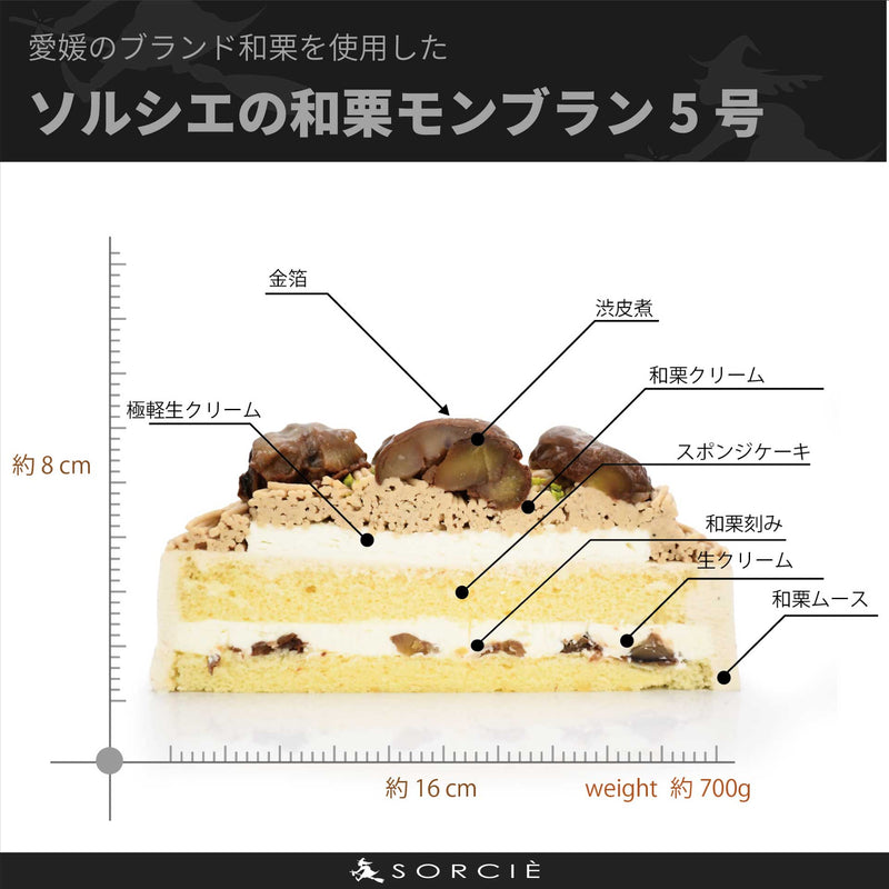Product Image-3