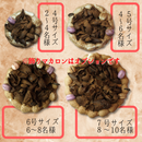 【店頭受取】スペシャルチョコデコレーション | チョコレートケーキ | ル・シェーヴルフイユ ホールケーキ