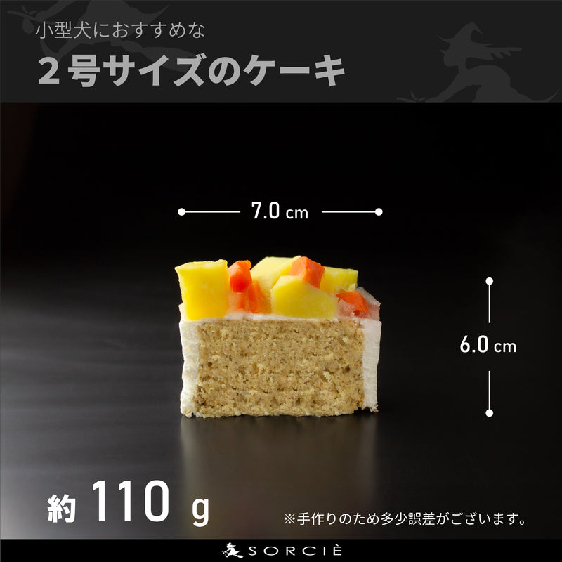 【冷凍】犬用生デコレーションケーキ 2号 小型犬~中型犬用 | チーズケーキ | 魔法洋菓子店ソルシエ