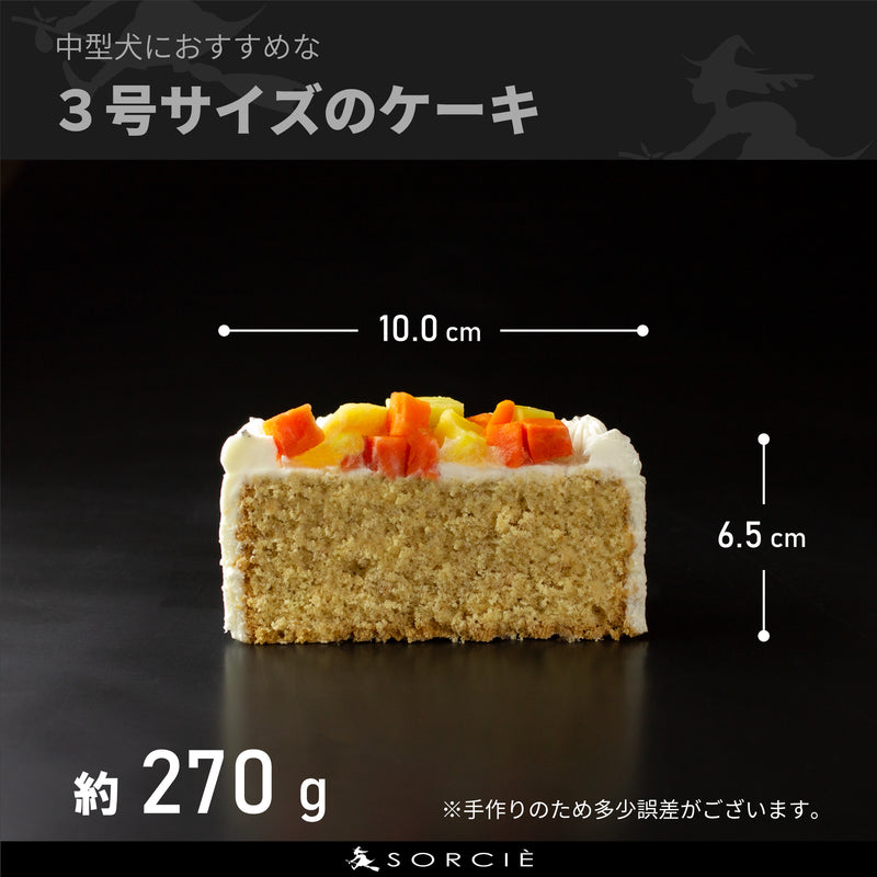 【冷凍】犬用生デコレーションケーキ 3号 中型犬~大型犬用 | ケーキ | 魔法洋菓子店ソルシエ