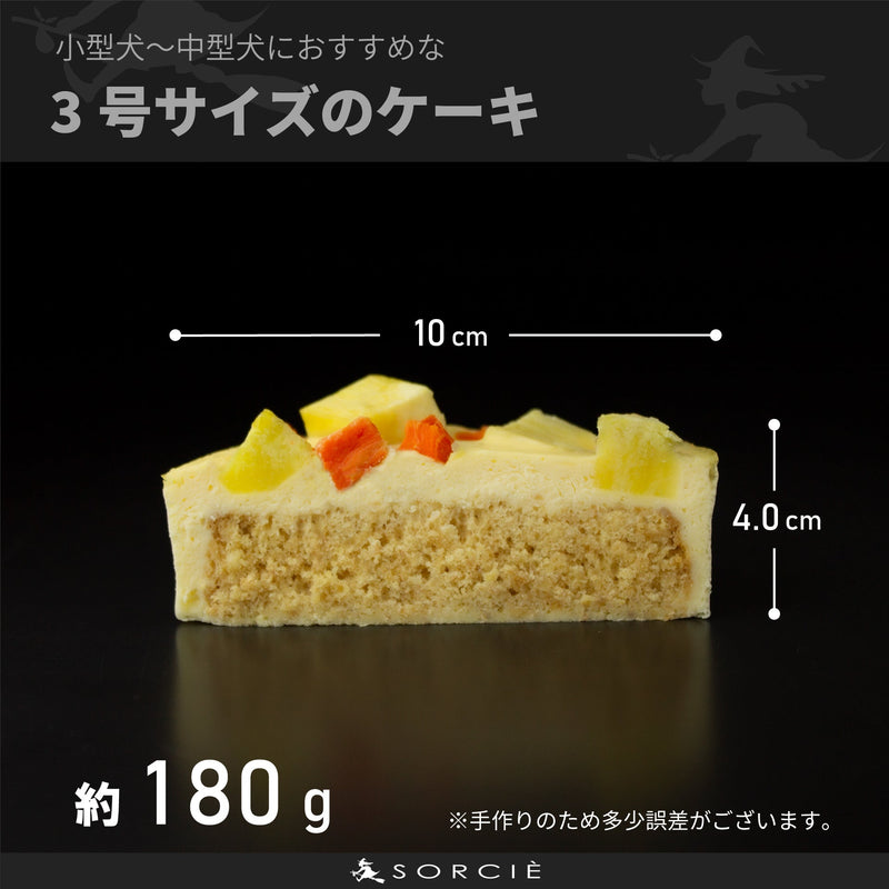【冷凍】犬用ソルシエ 誕生日ケーキ・ベイクドチーズケーキ 3号 小型犬｜魔法洋菓子店ソルシエ
