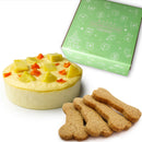 【冷凍】犬用ソルシエ 誕生日ケーキ・ベイクドチーズケーキ 3号 小型犬｜魔法洋菓子店ソルシエ