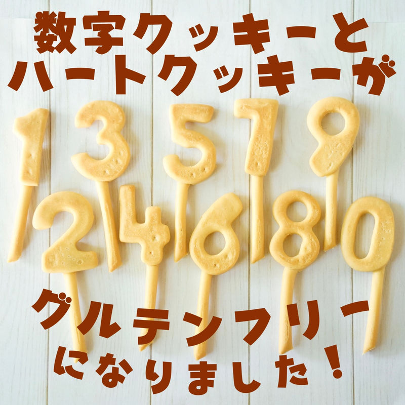 Product Image-6
