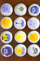 【冷蔵】新潟華饅頭｜饅頭｜栗原製菓