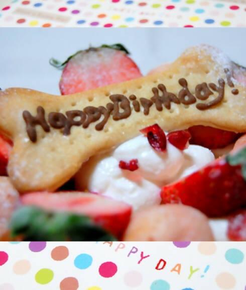 Product Image-13