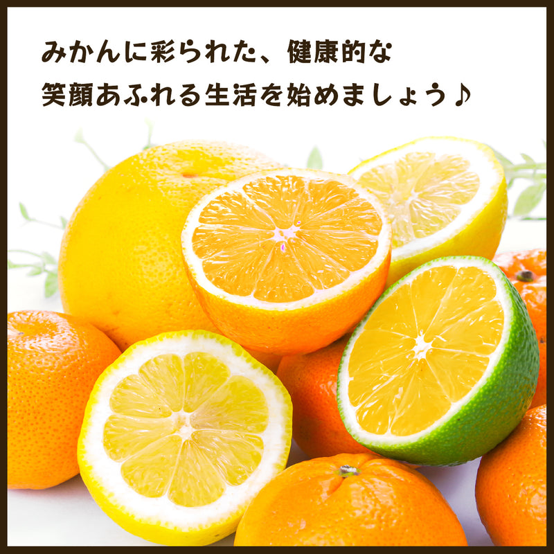 【常温】みかん・カンキツ | みかん | 蔵出しみかんの藤原農園