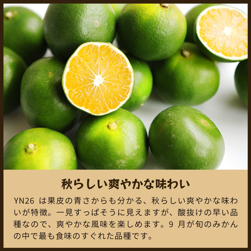 【常温】みかん・カンキツ | みかん | 蔵出しみかんの藤原農園