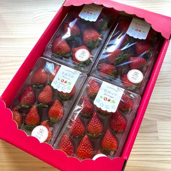 Product Image-0