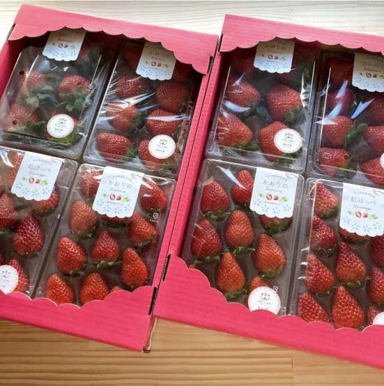 Product Image-1