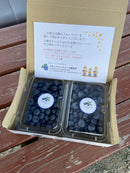 【冷蔵】ブルーベリー 化粧箱入り | ブルーベリー | ブルーベリーファーム新松戸
