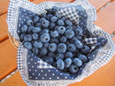 【冷蔵】ブルーベリー 化粧箱入り | ブルーベリー | ブルーベリーファーム新松戸