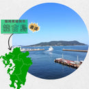 【常温】ブラッドオレンジ(モロ) | オレンジ | 能古島 久保田農園