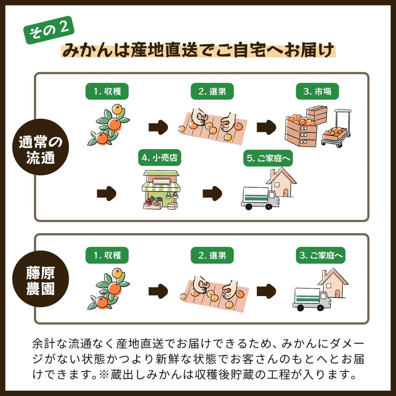 【常温】みかん・カンキツ | みかん | 蔵出しみかんの藤原農園