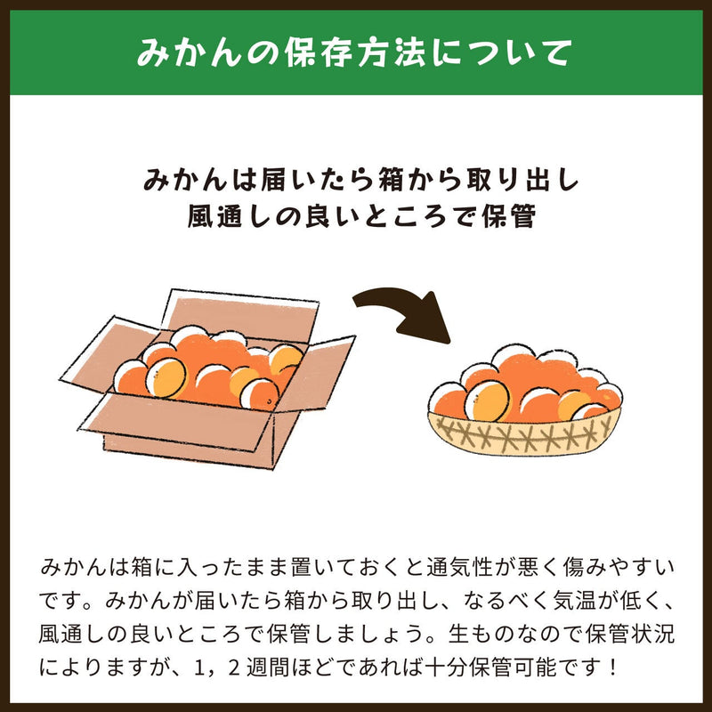 【常温】みかん・カンキツ | みかん | 蔵出しみかんの藤原農園