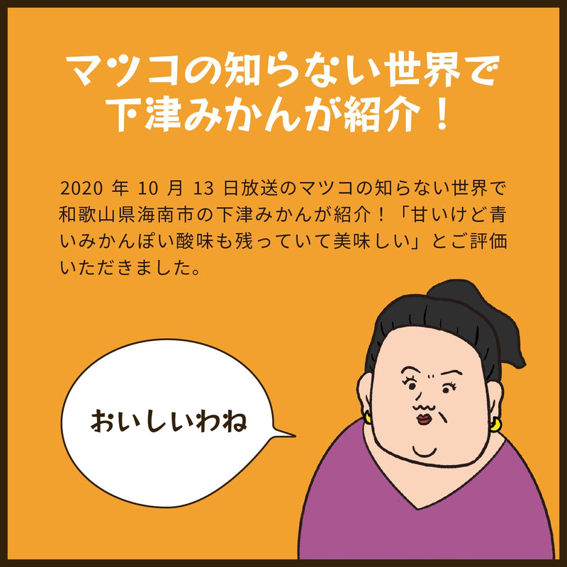 【常温】みかん・カンキツ | みかん | 蔵出しみかんの藤原農園